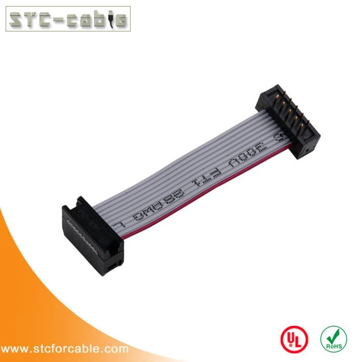2.54 mm, podélná 2x5Pin 10Pin 10 dráty IDC plochý pás karet kabel M/F